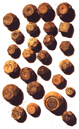 Byzantine and Islamic bronze weights (item #i58)