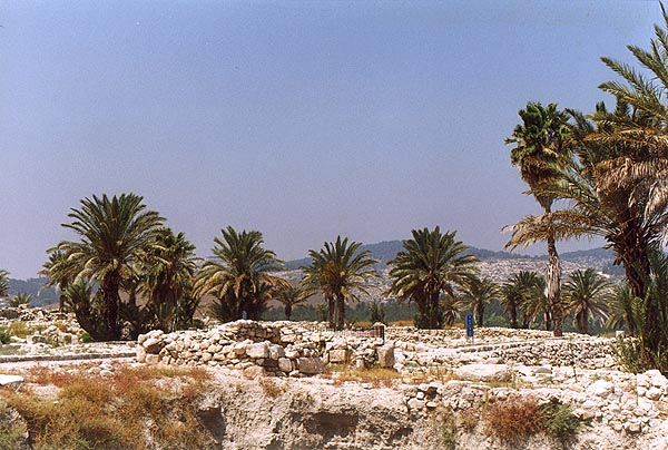 Westward view from Tel Megiddo’s Area M (photo #p22)