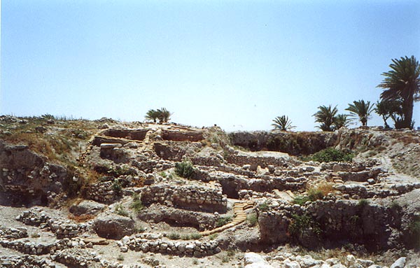 Overall view of Shumacher’s north and middle city (photo #p23)