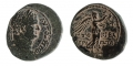 Click to enlarge picture