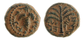 Click to enlarge picture